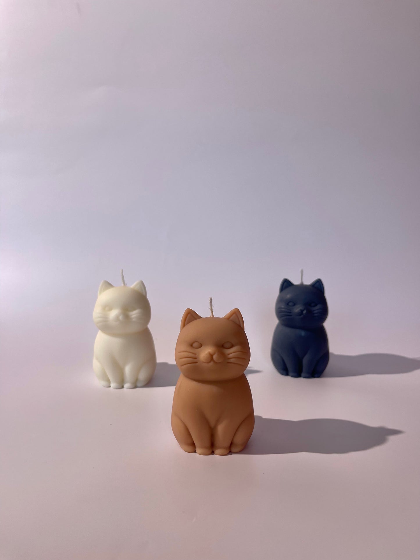 Cat candle, CATS ARE LIFE