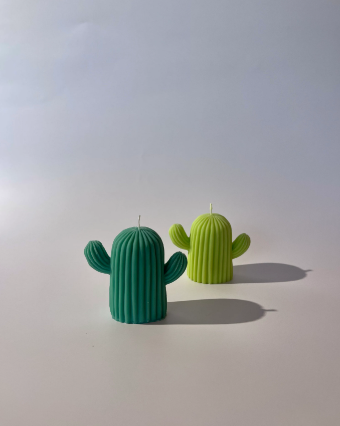 Cactus decorative candle