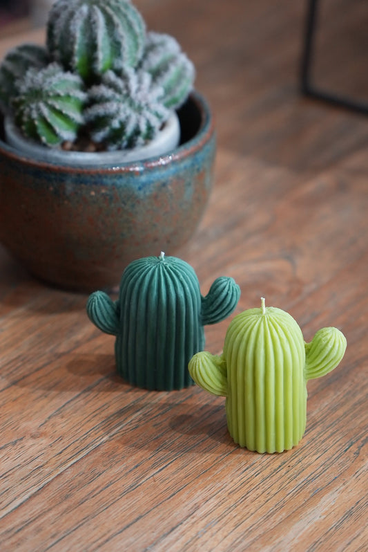 Cactus decorative candle