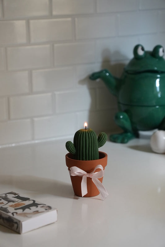 Cactus in a Pot candle