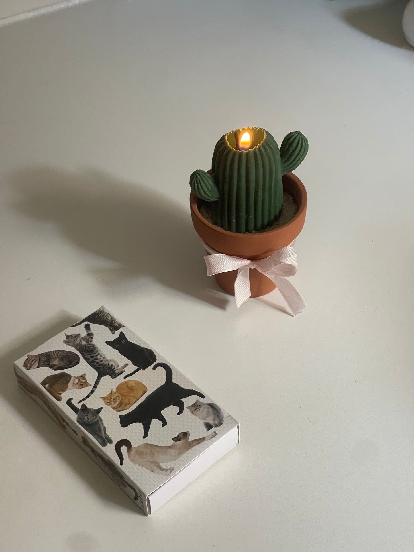 Cactus in a Pot candle